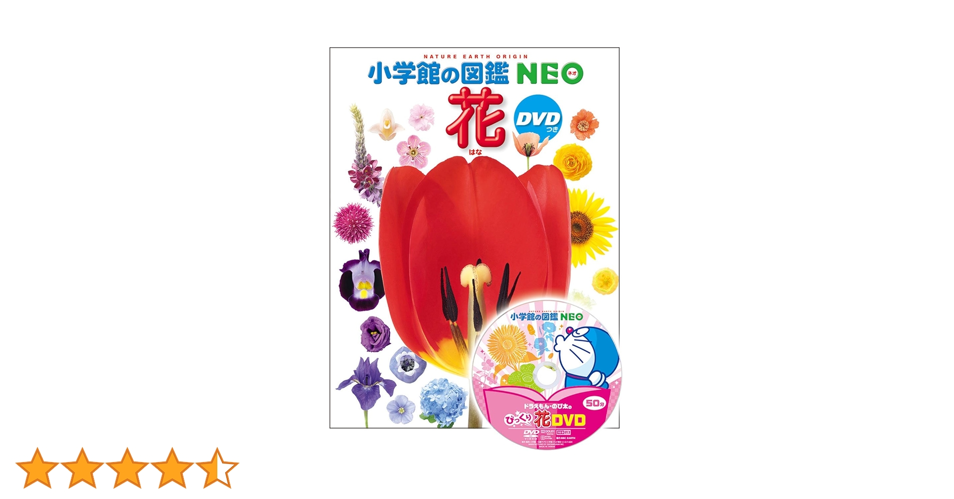DVD付 花 (小学館の図鑑 NEO) | 多田 多恵子, 多田 多恵子, 多田
